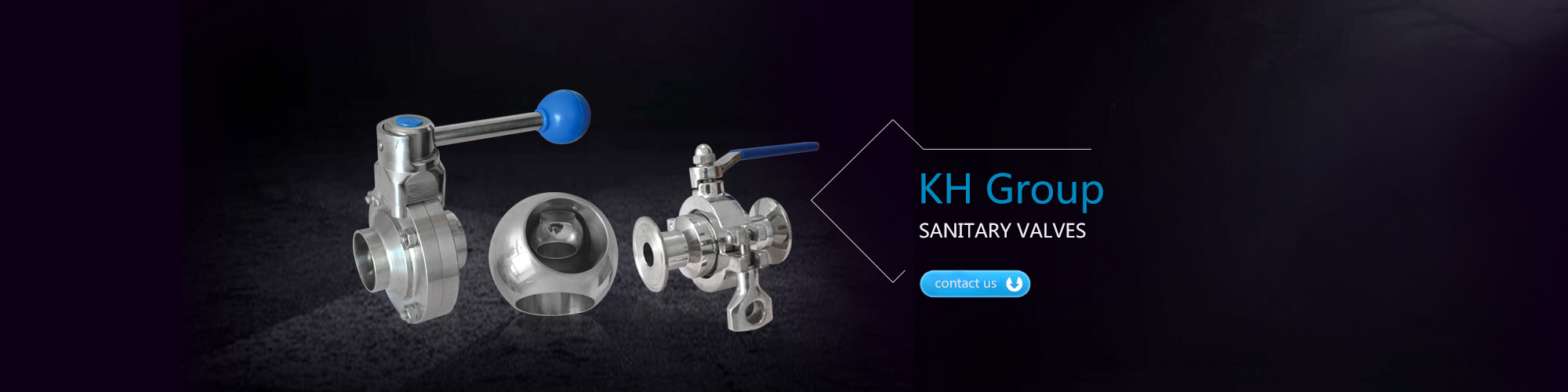 SANITARY VALVES